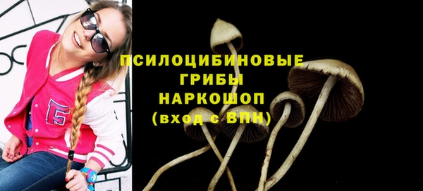 ECSTASY Лиски