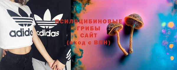 apvp Лихославль