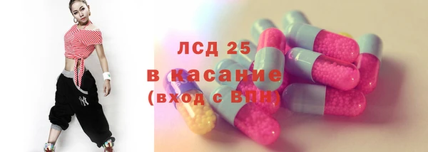 гидра Липки