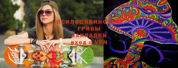 гидра Липки
