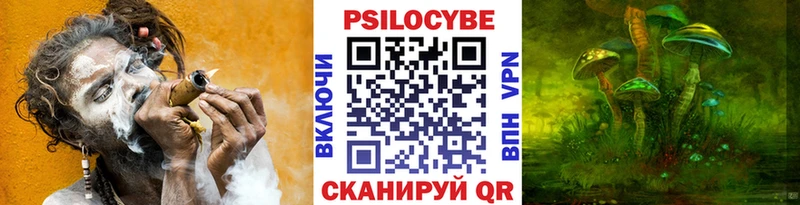 Галлюциногенные грибы MAGIC MUSHROOMS цены наркотик Оренбург