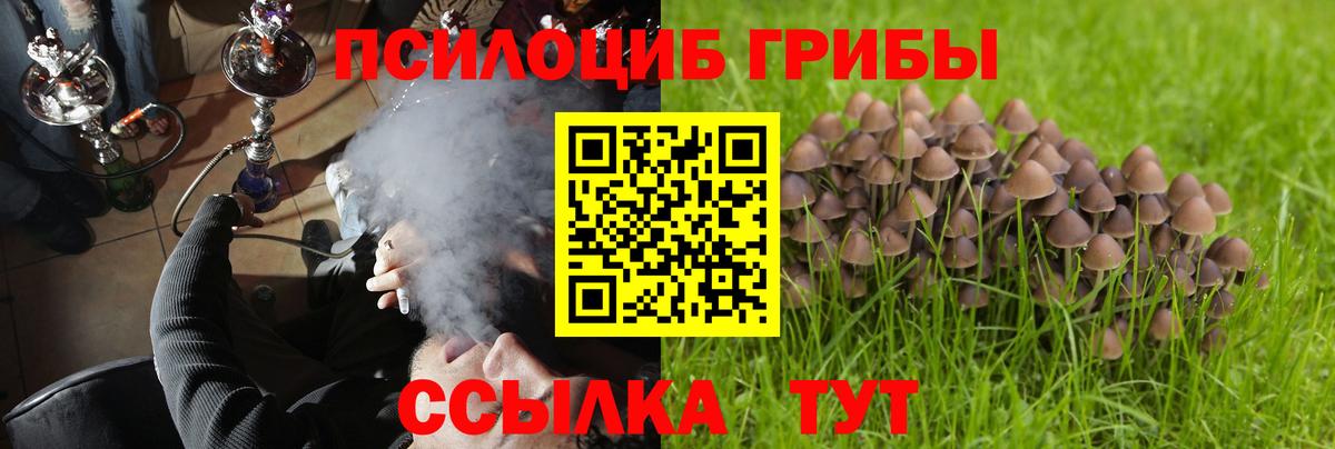 Галлюциногенные грибы Cubensis Оренбург